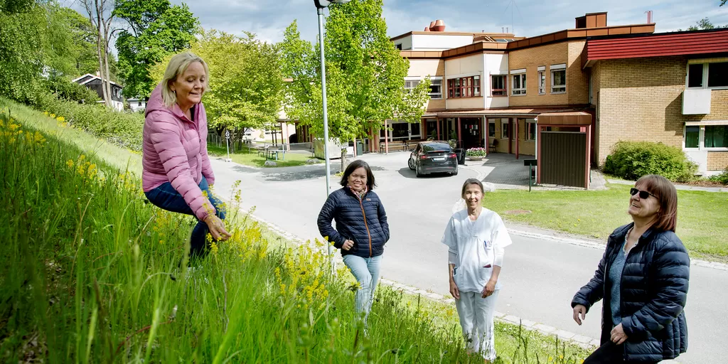 På Dette Sykehjemmet Fikk 35 Ansatte Korona. Her Er De Tilbake På Jobb ...